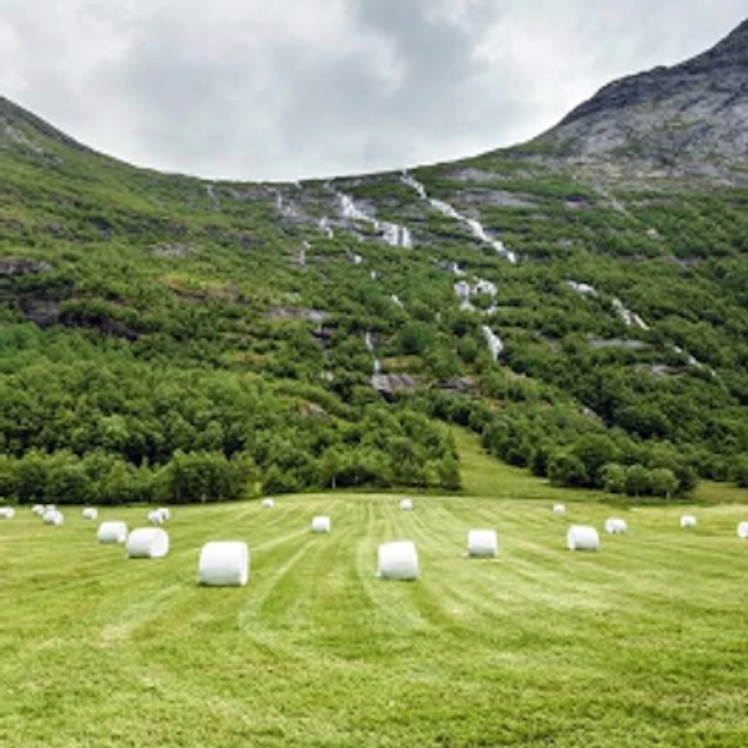 Felleskjøpet Agri